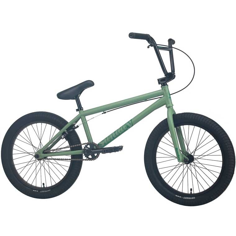 Sunday Scout (20.75") 2023