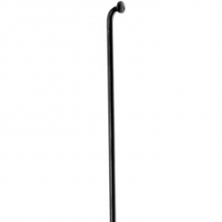 DT Swiss Champion black spoke