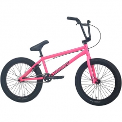 Sunday Scout (20.75") 2023